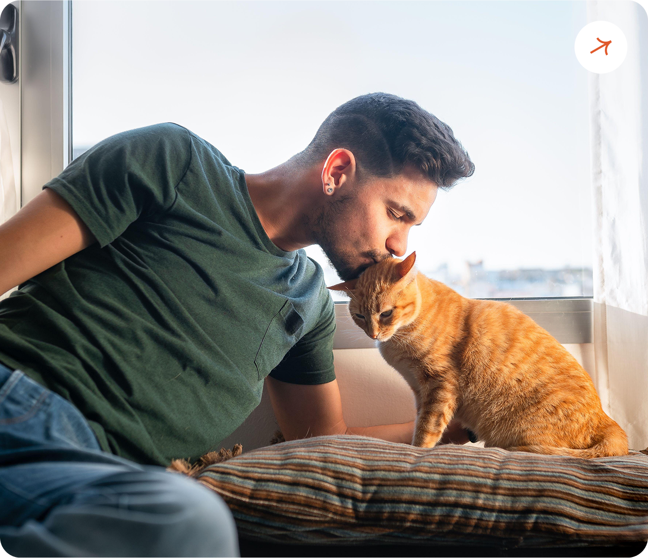 Consejos de Cuidado y Comportamiento Felino: Cómo Ayudar a un Gato con Ansiedad por Separación